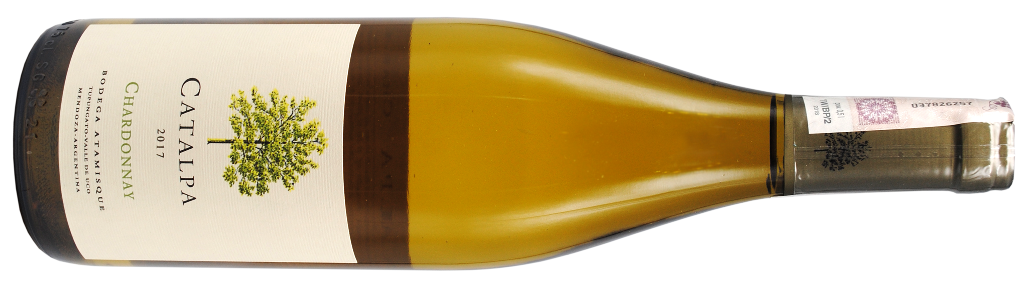 Catalpa Chardonnay bt