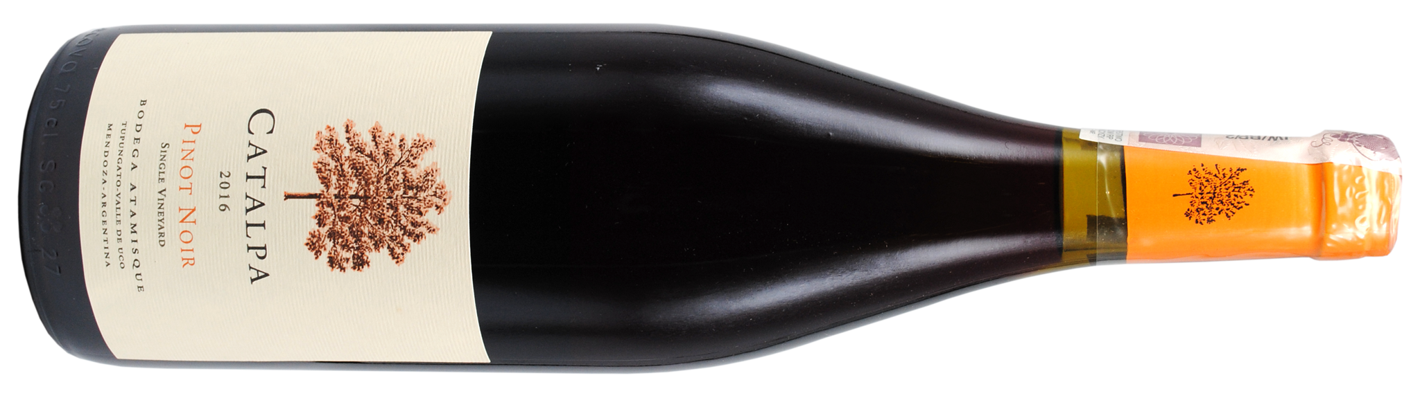 Catalpa Pinot Noir bt
